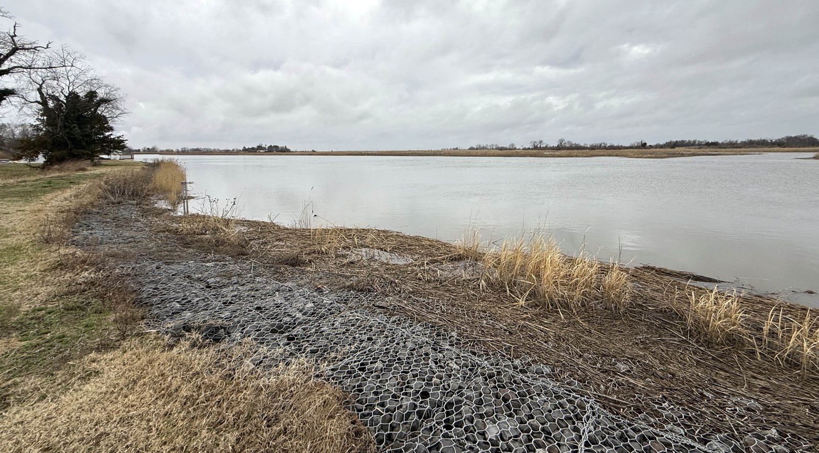 Stabilized shoreline and stormwater outfall